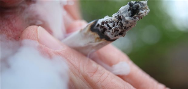 Den Grenzwert für illegale Herstellung und Handel von Cannabis setzt der Bundesgerichtshof auf weiterhin 7,5 Gramm THC fest.