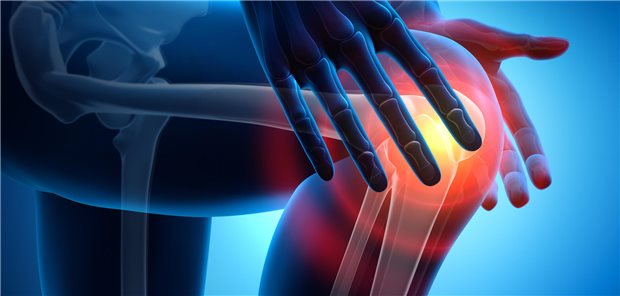 Laut Ferreira et al. gibt es trotz anekdotischer Berichte von Patienten scheinen Wetteränderungen kein Risikofaktor für Schmerzen durch rheumatoide Arthritis und für Knie-, Hüft- oder Kreuzschmerzen zu sein. Ein signifikanter Einfluss auf Gichterkrankungen ist aber möglich.